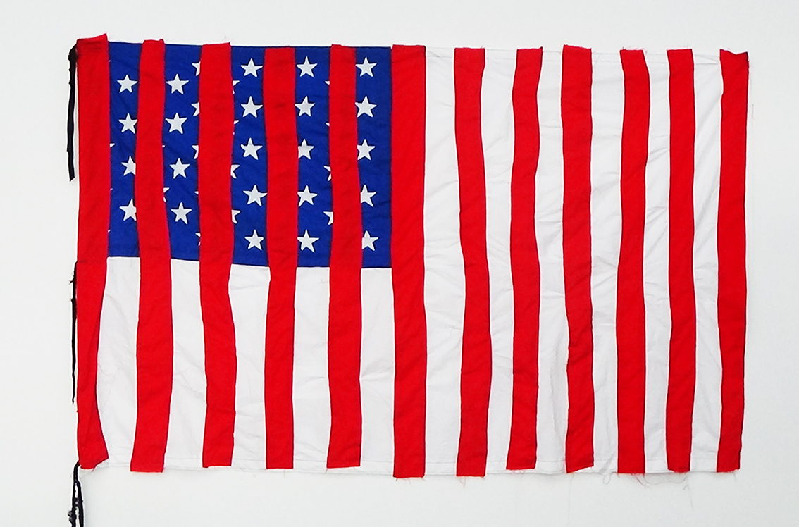 Stars and Bars by artist Paul Coombs, America, USA, Flag, Protest